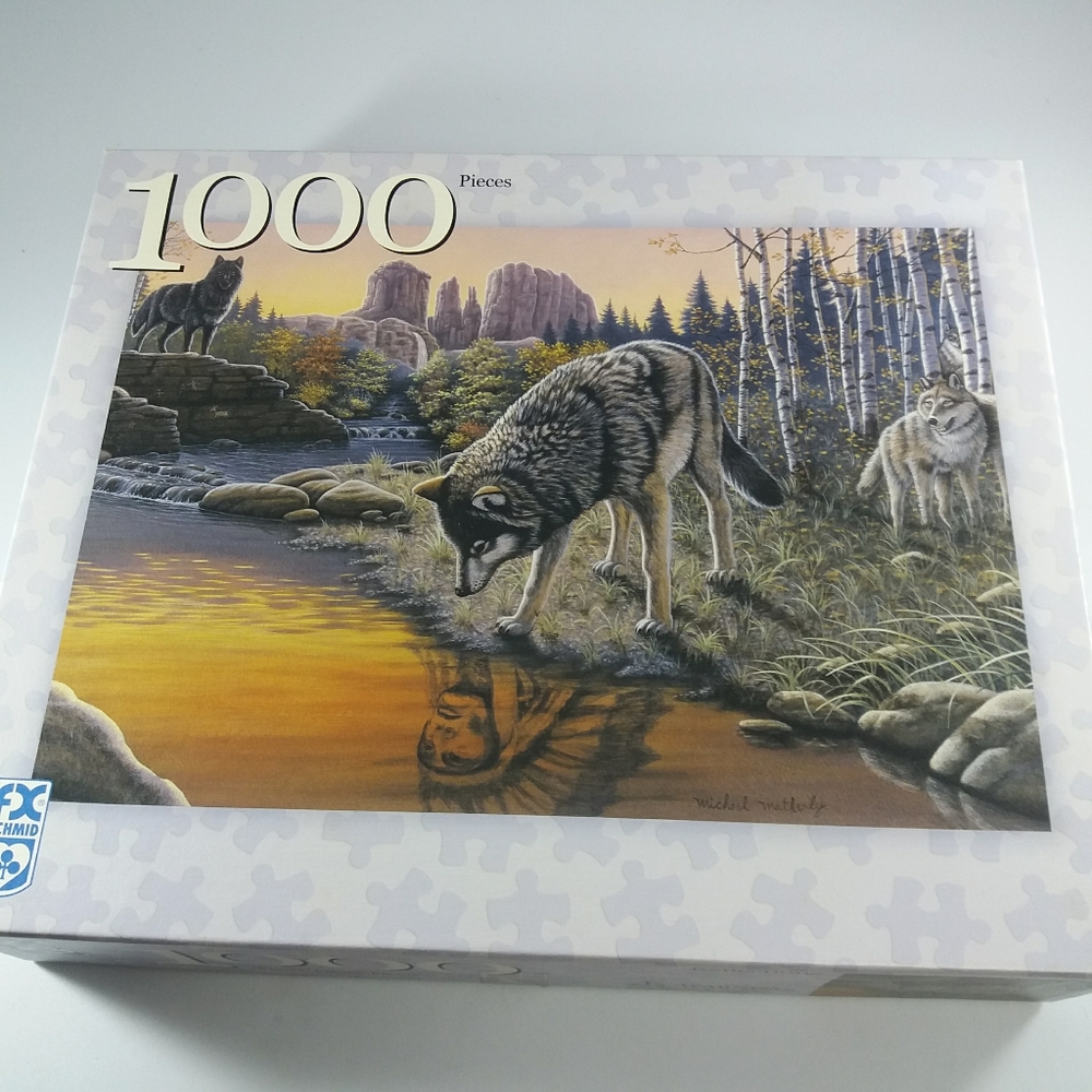 Fx schmid puzzle 1000 Reflection 20×27" Used
